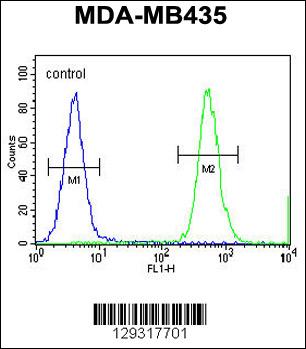 HNRNPCL1 Antibody (C-term) (Cat. #AP11488b) flow cytometric analysis of MDA-MB435 cells (right histogram) compared to a negative control cell (left histogram).FITC-conjugated goat-anti-rabbit secondary antibodies were used for the analysis.