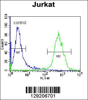 OR4N4 Antibody (N-term) (Cat. #AP11476a) flow cytometric analysis of Jurkat cells (right histogram) compared to a negative control cell (left histogram).FITC-conjugated donkey-anti-rabbit secondary antibodies were used for the analysis.
