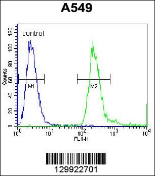 PABPN1L Antibody (Center) (Cat. #AP11914c) flow cytometric analysis of A549 cells (right histogram) compared to a negative control cell (left histogram).FITC-conjugated goat-anti-rabbit secondary antibodies were used for the analysis.