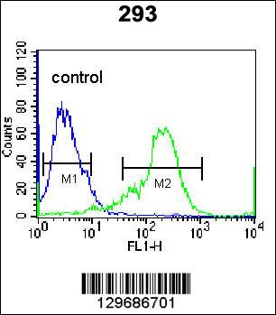 NKX1-2 Antibody (N-term) (Cat. #AP11745a) flow cytometric analysis of 293 cells (right histogram) compared to a negative control cell (left histogram).FITC-conjugated goat-anti-rabbit secondary antibodies were used for the analysis.