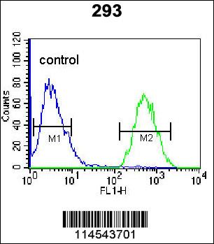 GPC6 Antibody (C-term) (Cat. #AP11674b) flow cytometric analysis of 293 cells (right histogram) compared to a negative control cell (left histogram).FITC-conjugated goat-anti-rabbit secondary antibodies were used for the analysis.