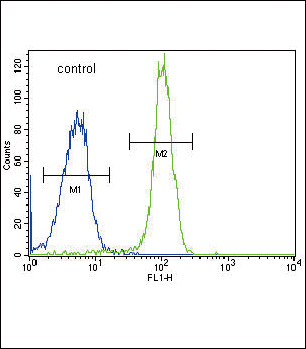SDHD Antibody (N-term) (Cat. #AP12155a) flow cytometric analysis of Hela cells (right histogram) compared to a negative control cell (left histogram).FITC-conjugated goat-anti-rabbit secondary antibodies were used for the analysis.