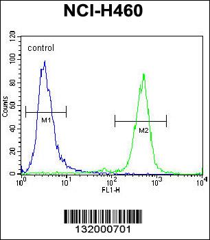 PURB Antibody (C-term) (Cat. #AP12051b) flow cytometric analysis of NCI-H460 cells (right histogram) compared to a negative control cell (left histogram).FITC-conjugated goat-anti-rabbit secondary antibodies were used for the analysis.