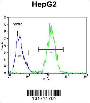 RDH13 Antibody (Center) (Cat. #AP12029c) flow cytometric analysis of HepG2 cells (right histogram) compared to a negative control cell (left histogram).FITC-conjugated goat-anti-rabbit secondary antibodies were used for the analysis.