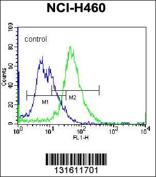 PLCL2 Antibody (C-term) (Cat. #AP12004b) flow cytometric analysis of NCI-H460 cells (right histogram) compared to a negative control cell (left histogram).FITC-conjugated donkey-anti-rabbit secondary antibodies were used for the analysis.