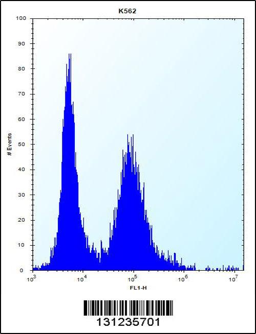 MEIG1 Antibody (Center) (Cat. #AP12447c) flow cytometric analysis of K562 cells (right histogram) compared to a negative control cell (left histogram).FITC-conjugated donkey-anti-rabbit secondary antibodies were used for the analysis.