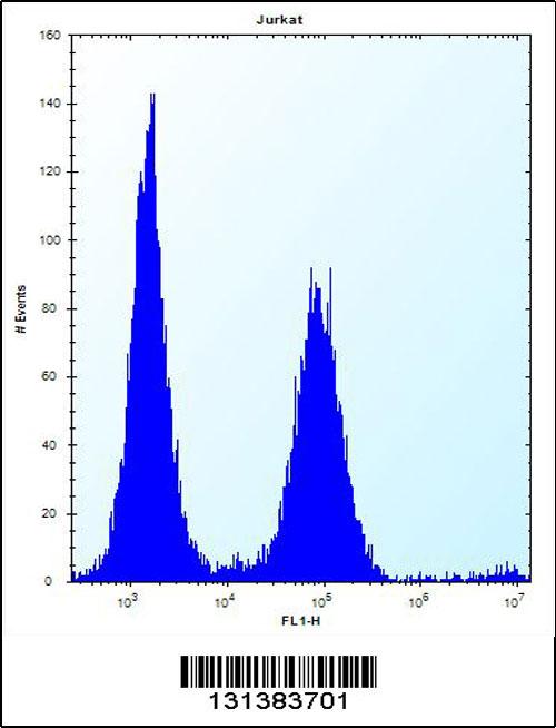 PSAPL1 Antibody (N-term) (Cat. #AP12400a) flow cytometric analysis of Jurkat cells (right histogram) compared to a negative control cell (left histogram).FITC-conjugated donkey-anti-rabbit secondary antibodies were used for the analysis.