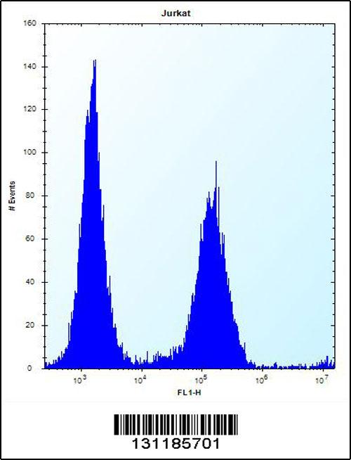 KRTAP25-1 Antibody (C-term) (Cat. #AP12354b) flow cytometric analysis of Jurkat cells (right histogram) compared to a negative control cell (left histogram).FITC-conjugated donkey-anti-rabbit secondary antibodies were used for the analysis.