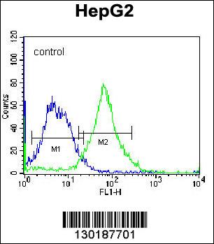 FNDC7 Antibody (C-term) (Cat. #AP12278b) flow cytometric analysis of K562 cells (right histogram) compared to a negative control cell (left histogram).FITC-conjugated donkey-anti-rabbit secondary antibodies were used for the analysis.