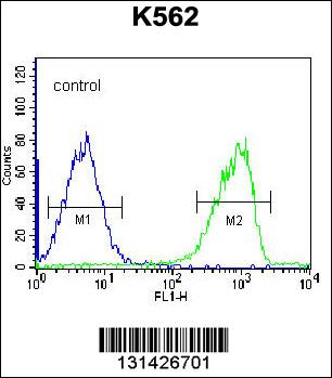 S3TC1 Antibody (C-term) (Cat. #AP12582c) flow cytometric analysis of K562 cells (right histogram) compared to a negative control cell (left histogram).FITC-conjugated goat-anti-rabbit secondary antibodies were used for the analysis.
