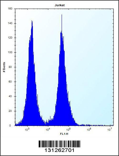 OR11L1 Antibody (C-term) (Cat. #AP12515b) flow cytometric analysis of Jurkat cells (right histogram) compared to a negative control cell (left histogram).FITC-conjugated donkey-anti-rabbit secondary antibodies were used for the analysis.