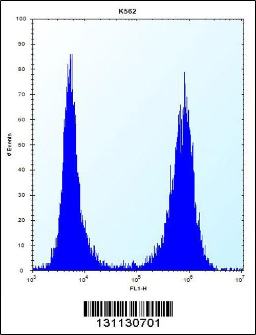CCT8 Antibody (C-term) (Cat. #AP12500b) flow cytometric analysis of K562 cells (right histogram) compared to a negative control cell (left histogram).FITC-conjugated donkey-anti-rabbit secondary antibodies were used for the analysis.