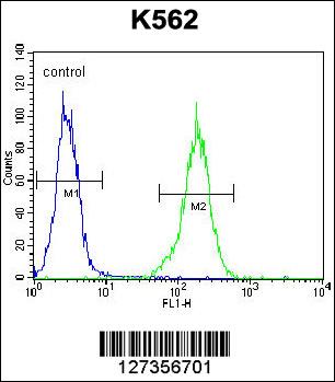 NKAIN1 Antibody (C-term) (Cat. #AP12478b) flow cytometric analysis of K562 cells (right histogram) compared to a negative control cell (left histogram).FITC-conjugated goat-anti-rabbit secondary antibodies were used for the analysis.