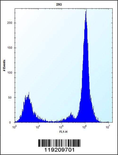 MOBKL1B Antibody (N-term) (Cat. #AP12884a) flow cytometric analysis of 293 cells (right histogram) compared to a negative control cell (left histogram).FITC-conjugated goat-anti-rabbit secondary antibodies were used for the analysis.