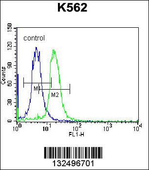 STARD5 Antibody (N-term) (Cat. #AP12823a) flow cytometric analysis of K562 cells (right histogram) compared to a negative control cell (left histogram).FITC-conjugated donkey-anti-rabbit secondary antibodies were used for the analysis.