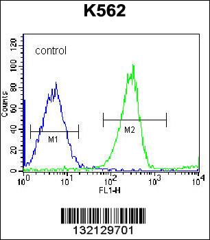 RPS4Y1 Antibody (Center) (Cat. #AP12803c) flow cytometric analysis of K562 cells (right histogram) compared to a negative control cell (left histogram).FITC-conjugated goat-anti-rabbit secondary antibodies were used for the analysis.