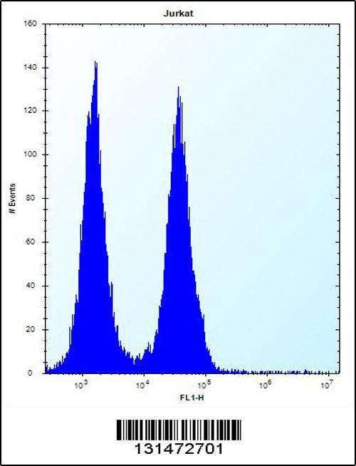 FA8A1 Antibody (N-term) (Cat. #AP12791a) flow cytometric analysis of Jurkat cells (right histogram) compared to a negative control cell (left histogram).FITC-conjugated donkey-anti-rabbit secondary antibodies were used for the analysis.