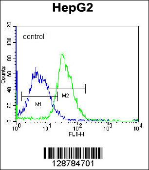 PLEKHH1 Antibody (C-term) (Cat. #AP12777b) flow cytometric analysis of K562 cells (right histogram) compared to a negative control cell (left histogram).FITC-conjugated donkey-anti-rabbit secondary antibodies were used for the analysis.