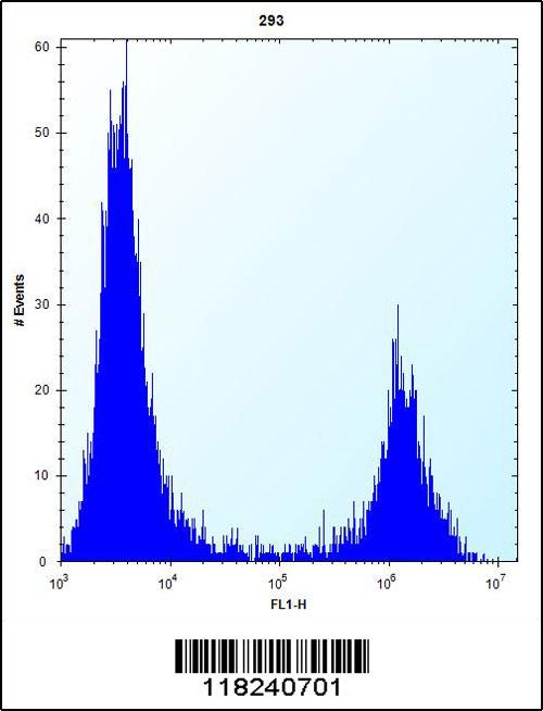 MID1IP1 Antibody (N-term) (Cat. #AP12762a) flow cytometric analysis of 293 cells (right histogram) compared to a negative control cell (left histogram).FITC-conjugated goat-anti-rabbit secondary antibodies were used for the analysis.