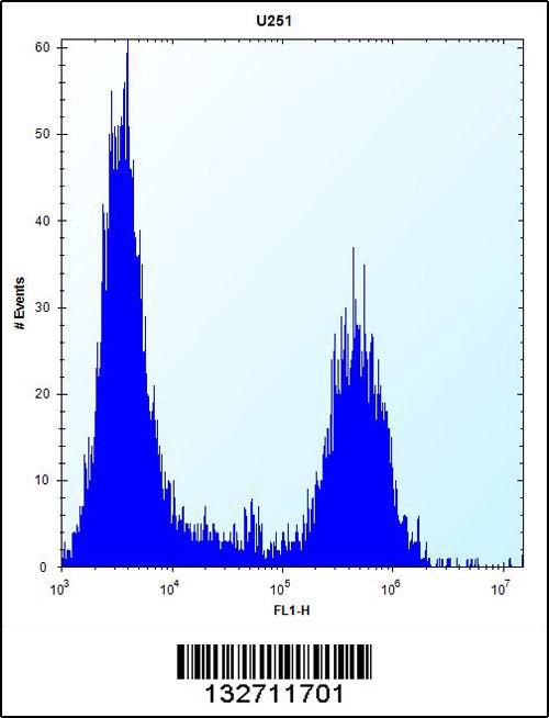 TPM4 Antibody (N-term) (Cat. #AP12756a) flow cytometric analysis of U251 cells (right histogram) compared to a negative control cell (left histogram).FITC-conjugated goat-anti-rabbit secondary antibodies were used for the analysis.