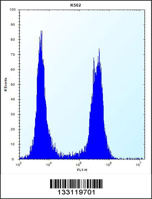 ARSF Antibody (Center) (Cat. #AP13247c) flow cytometric analysis of K562 cells (right histogram) compared to a negative control cell (left histogram).FITC-conjugated donkey-anti-rabbit secondary antibodies were used for the analysis.