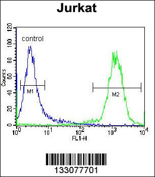 TNRC4 Antibody (N-term) (Cat. #AP13087a) flow cytometric analysis of Jurkat cells (right histogram) compared to a negative control cell (left histogram).FITC-conjugated donkey-anti-rabbit secondary antibodies were used for the analysis.