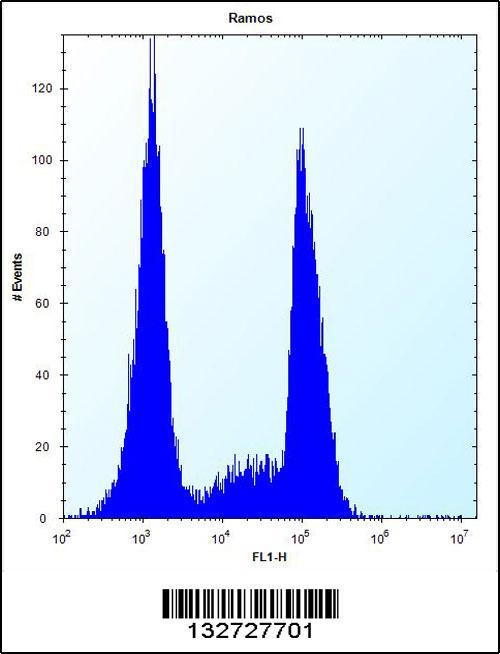 OR10G9 Antibody (C-term) (Cat. #AP13009b) flow cytometric analysis of Ramos cells (right histogram) compared to a negative control cell (left histogram).FITC-conjugated donkey-anti-rabbit secondary antibodies were used for the analysis.