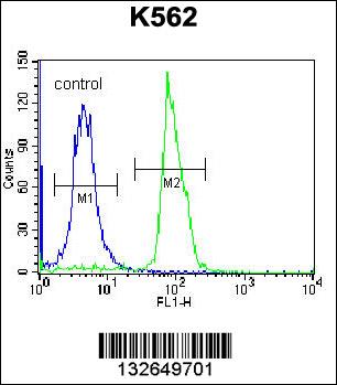 SEMA4C Antibody (C-term) (Cat. #AP13003b) flow cytometric analysis of K562 cells (right histogram) compared to a negative control cell (left histogram).FITC-conjugated donkey-anti-rabbit secondary antibodies were used for the analysis.