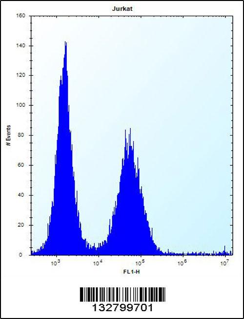 KCTD10 Antibody (C-term) (Cat. #AP13390b) flow cytometric analysis of Jurkat cells (right histogram) compared to a negative control cell (left histogram).FITC-conjugated donkey-anti-rabbit secondary antibodies were used for the analysis.
