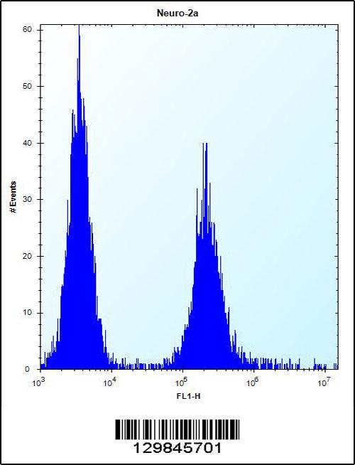 EFCB7 Antibody (C-term) (Cat. #AP14097b) flow cytometric analysis of Neuro-2a cells (right histogram) compared to a negative control cell (left histogram).FITC-conjugated donkey-anti-rabbit secondary antibodies were used for the analysis.