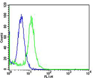 Flow cytometric analysis of Hela cells using Mouse Mapk3 Antibody (C-term)(green, Cat#AP14266b) compared to an isotype control of rabbit IgG(blue). AP14266b was diluted at 1:25 dilution. An Alexa Fluor® 488 goat anti-rabbit lgG at 1:400 dilution was used as the secondary antibody.