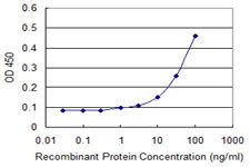 Detection limit for recombinant GST tagged RASL11B is approximately 3ng/ml as a capture antibody.