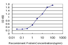 Detection limit for recombinant GST tagged RASGRP4 is approximately 0.3ng/ml as a capture antibody.