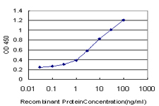 Detection limit for recombinant GST tagged RASGRP2 is approximately 0.3ng/ml as a capture antibody.
