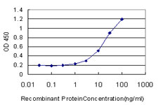 Detection limit for recombinant GST tagged RAMP1 is approximately 1ng/ml as a capture antibody.