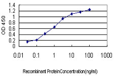 Detection limit for recombinant GST tagged PBX4 is approximately 0.03ng/ml as a capture antibody.