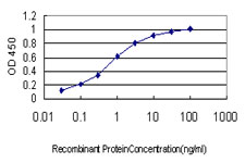 Detection limit for recombinant GST tagged RAD54B is approximately 0.03ng/ml as a capture antibody.