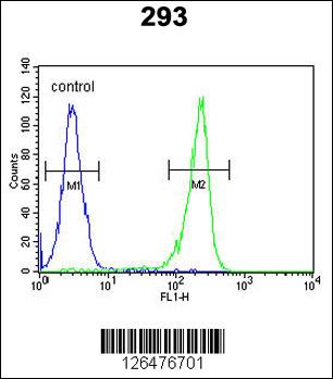 UNC50 Antibody (N-term) (Cat. #AP5294a) flow cytometric analysis of 293 cells (right histogram) compared to a negative control cell (left histogram).FITC-conjugated goat-anti-rabbit secondary antibodies were used for the analysis.