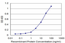 Detection limit for recombinant GST tagged PRKRIP1 is approximately 1ng/ml as a capture antibody.