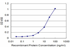 Detection limit for recombinant GST tagged PRKRIP1 is approximately 3ng/ml as a capture antibody.