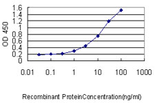 Detection limit for recombinant GST tagged SLC45A2 is approximately 0.03ng/ml as a capture antibody.