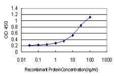 Detection limit for recombinant GST tagged SLC45A2 is approximately 0.1ng/ml as a capture antibody.