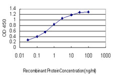 Detection limit for recombinant GST tagged SLC35A3 is approximately 0.03ng/ml as a capture antibody.