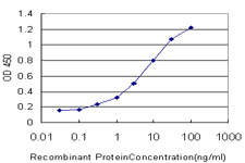 Detection limit for recombinant GST tagged SLC26A4 is approximately 0.1ng/ml as a capture antibody.
