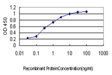 Detection limit for recombinant GST tagged SH3RF2 is approximately 0.03ng/ml as a capture antibody.