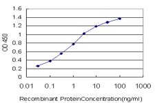 Detection limit for recombinant GST tagged SCN11A is approximately 0.03ng/ml as a capture antibody.