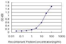 Detection limit for recombinant GST tagged DSE is approximately 0.3ng/ml as a capture antibody.