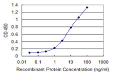 Detection limit for recombinant GST tagged VGLL1 is 0.1 ng/ml as a capture antibody.