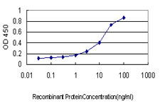 Detection limit for recombinant GST tagged USP48 is approximately 0.3ng/ml as a capture antibody.