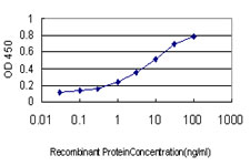 Detection limit for recombinant GST tagged TUBG2 is approximately 0.03ng/ml as a capture antibody.
